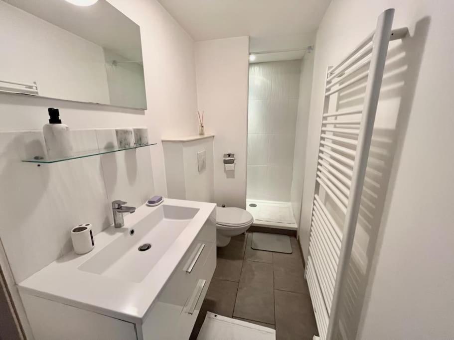 Tres Bel Appartement A 2 Pas Du Theatre Sebastopol ลีลล์ ภายนอก รูปภาพ