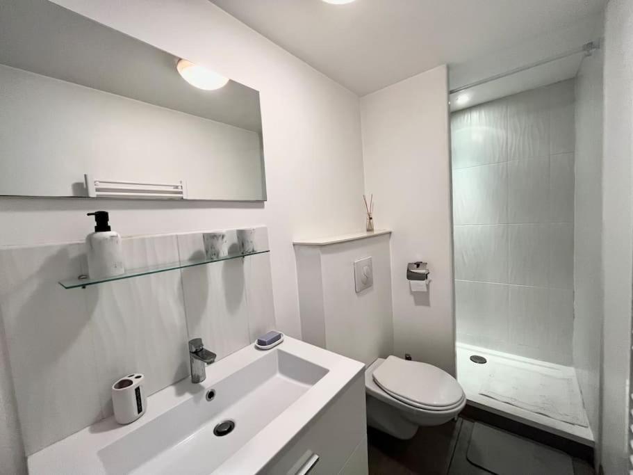 Tres Bel Appartement A 2 Pas Du Theatre Sebastopol ลีลล์ ภายนอก รูปภาพ